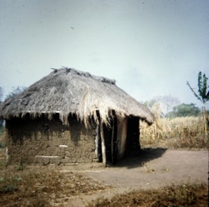 Village